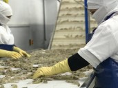 Camarón ecuatoriano pagará $ 20 millones al mes para ingresar a Estados Unidos por arancel del 15 %