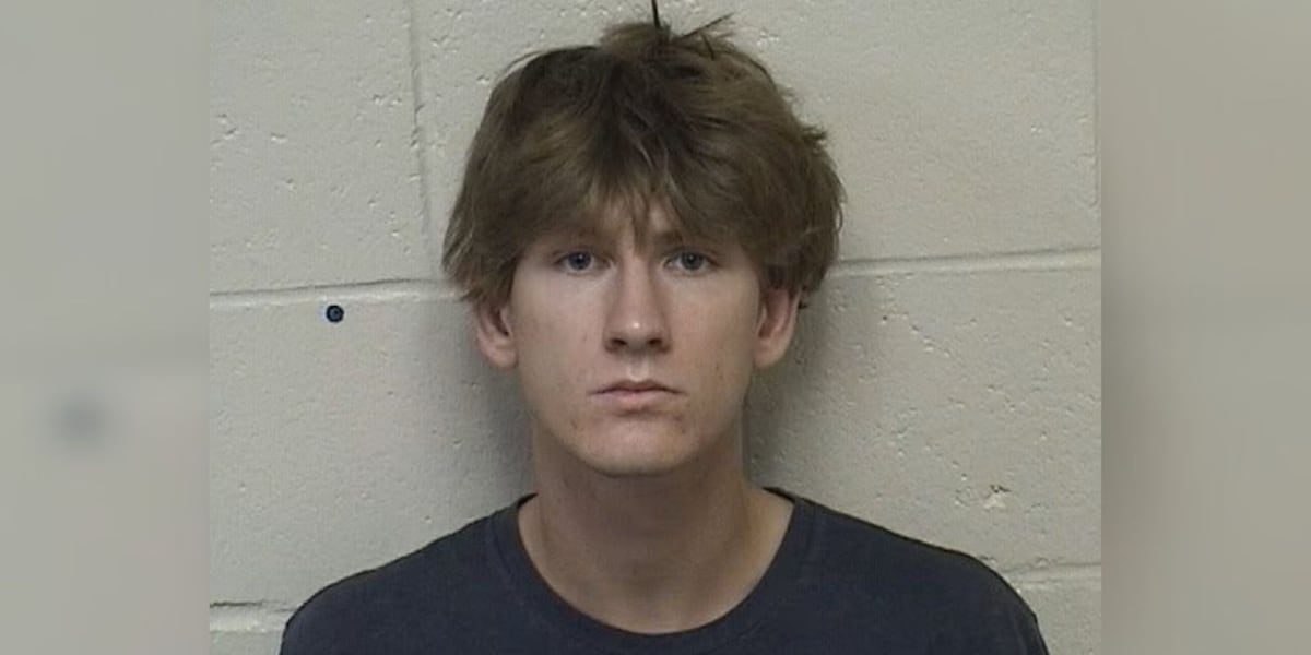 Man charged in connection with deadly Saline County crash