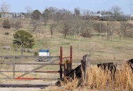 Test water wells at Franklin County proposed prison site register low but Corrections leader says drilling deeper required