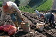 Gremios agrícolas proponen «Seguros Inteligentes» en Venezuela