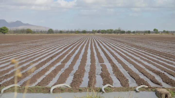 Insuficiente, almacenamiento de la Boquilla y Las Vírgenes para asegurar un ciclo agrícola en 2026