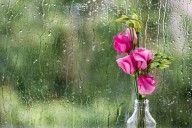 Weather Forecast for Wednesday, August 27, 2025