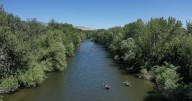 Boise celebrates 75 years of keeping the river clean with weekend Water Jamboree