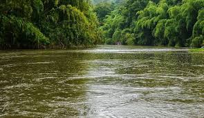 Consejo de Cuenca del río La Vieja abordará temas ambientales y de desarrollo en Calarcá
