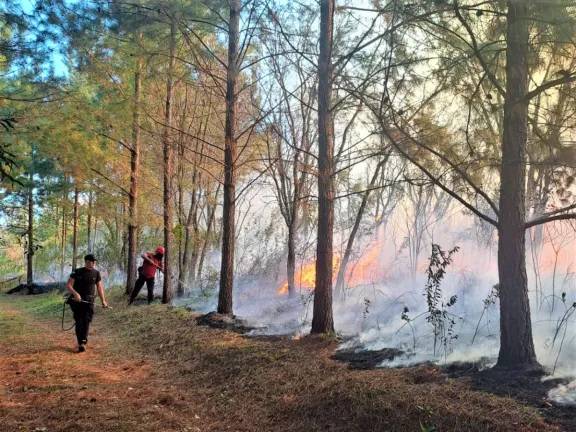 Con el fin de semana caluroso se multiplican los focos de incendio en la provincia