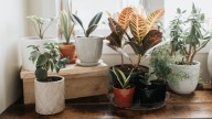 The Internet Is Buzzing Over This Bizarre Ceramic Hack, But Does It Actually Work?