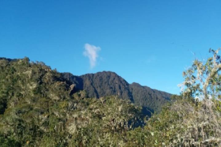 Minam gestiona fondo para reforzar protección de 35 áreas de conservación regional
