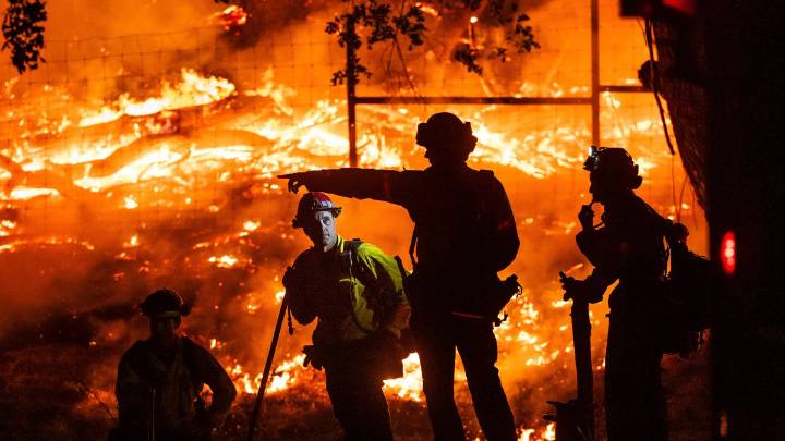 Incendio Pickett en California: se salvan los viñedos – Telemundo Area de la Bahía 48