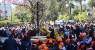 Milagro de los niños: más de 2.400 chicos coparon la Catedral en una gran jornada