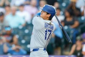 Bookmaker linked to ex-Ohtani interpreter sentenced to prison
