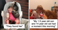 39 Times Cats Figured Their New Job Was Babysitting, And Nailed It