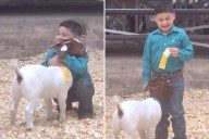 Texas boy's heartwarming moment with prize-winning goat at animal show goes viral