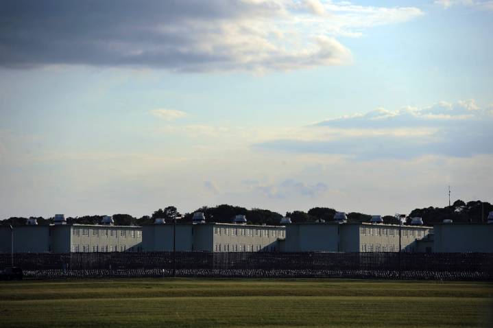 Man executed for 1982 murder in record 10th execution this year in Florida