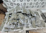 OBTIENE FGR VINCULACIÓN A PROCESO CONTRA DOS PERSONAS