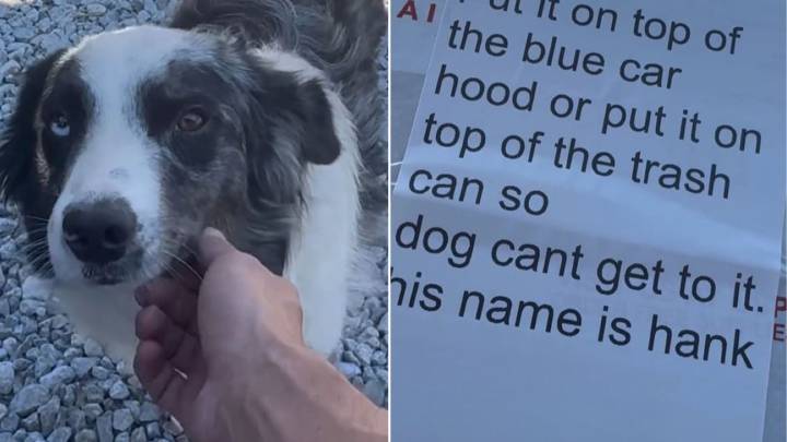 Kentucky Delivery Driver Found Note About Dog That Changed How He Handled the Package