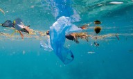Los humanos, responsables del 80% de la contaminación marina