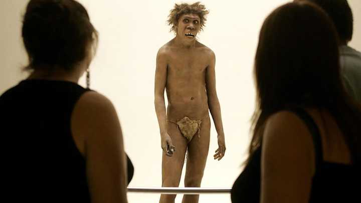 Encontraron el primer hijo de un neandertal y un humano moderno