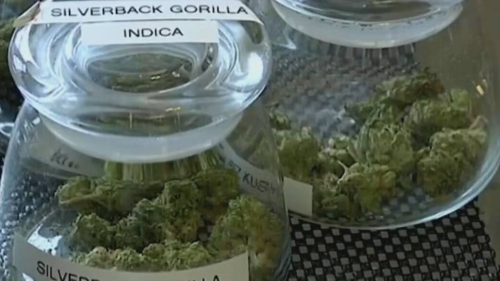 Medical marijuana expansion in Texas starts Sept. 1; hemp bills remain stalled