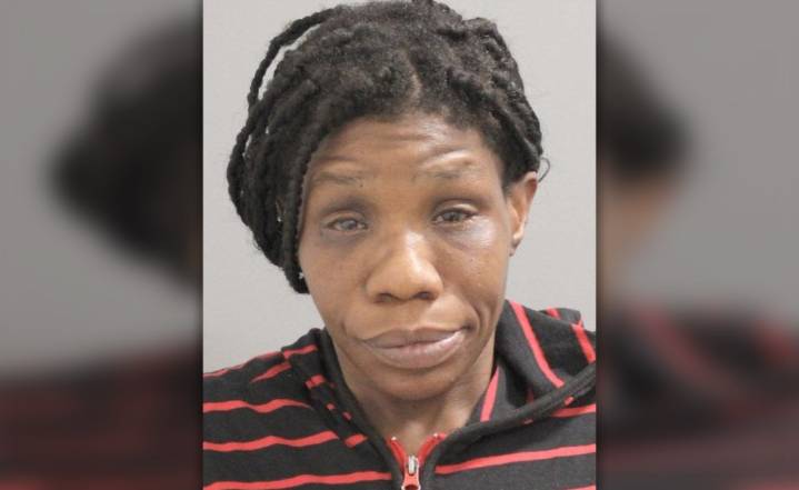 Homeless woman charged with falsely imprisoning Long Island woman