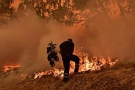Murió un bombero en los incendios de los Estados Unidos