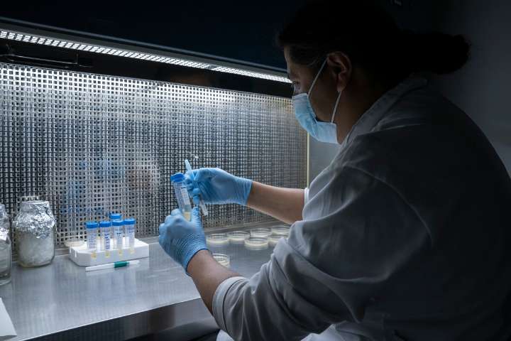 Cofepris autoriza tratamientos contra VIH, algunos tipos de cáncer y diabetes
