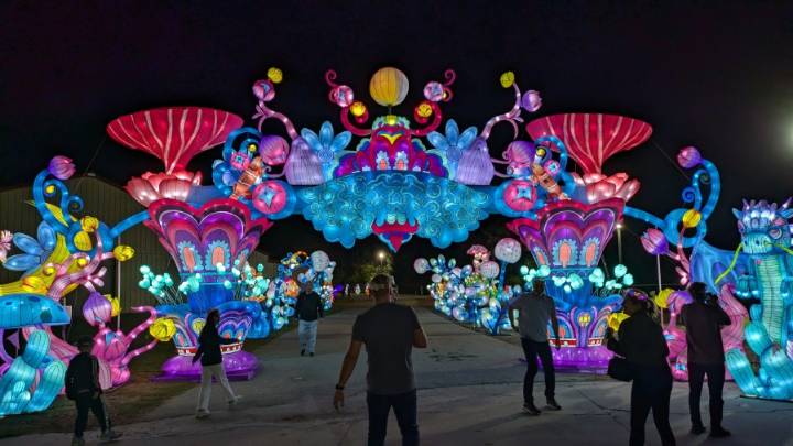 Autumn Glow Festival to light up Rotterdam this fall