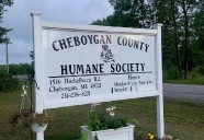 ‘Walks, Wags and Wiggles’ fundraiser to aid Cheboygan County Humane Society