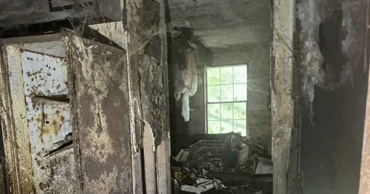 32 dogs seized from abandoned building in Tunnel Hill during animal abuse investigation