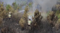 Agentes medioambientales critican que la Junta "es incapaz" de mejorar el operativo contra incendios