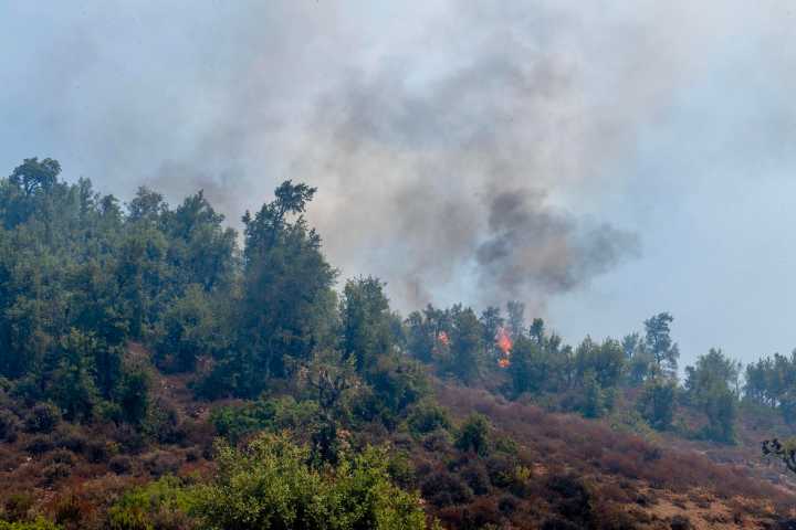 Continúan labores para extinguir incendio que quemó 500 hectáreas de bosque en Marruecos