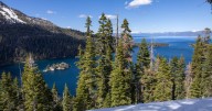California resident tests positive for the plague. Officials blame Lake Tahoe flea