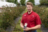 Berry-picking bot invented at University of Arkansas, Fayetteville aimed at filling agricultural technology gap