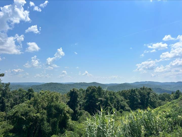 All About Alabama: Most scenic roads