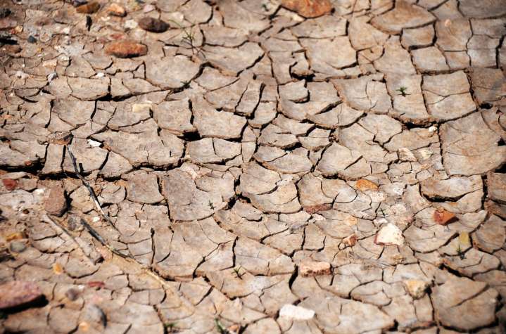 Impulsan en la UACH proyecto para restaurar suelos degradados en el desierto chihuahuense