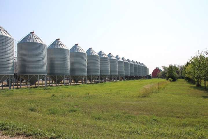 Producers don't need more rain now: Weekly Crop Report