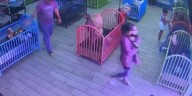 Woman caught on camera stealing $2,500 puppy from Knoxville store, police report says