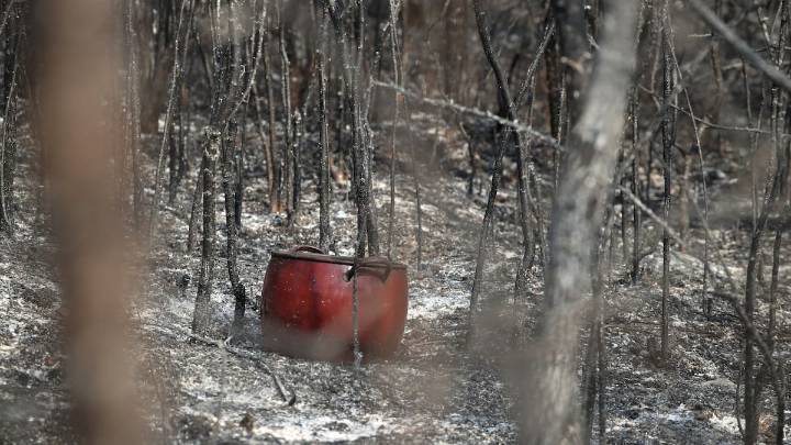 "¡Sinvergüenzas!": la dura crítica de Óscar Puente a la gestión del PP en los incendios de Castilla y León