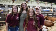 Barn to win: The dedication behind show animals at the fair