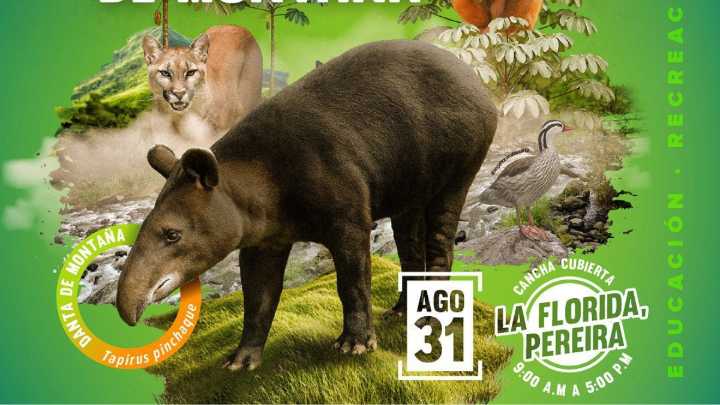 CARDER: ¡ANÍMATE Y PARTICIPA EN EL II FESTIVAL DE LA DANTA DE MONTAÑA!