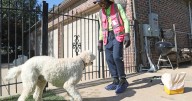 Meet the owner of two companies who will pick up your dog's poop