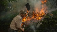 Un experto aclara cómo afecta el cambio climático en los incendios: "La radiación global ha aumentado gradualmente de una forma significativa"