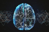 Subcutaneous EEG System Feasible, Acceptable for Monitoring Seizures