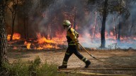 Medidas que debería incluir un pacto de Estado para hacer frente a los incendios forestales