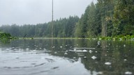 Strangers who saved a man’s life at Durrance Lake share the incredible chain of events
