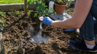 Why Top-Dressing Alone Won't Improve Your Lawn Fertilizer Effectiveness