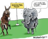 Cartoon: Redistricting fight
