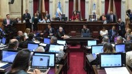 El Senado sesiona por universidades, Garrahan y decretos Además intentarán rechazar los decretos presidenciales que modificaron organismos como Vialidad, el INTI, el INTA, el Banco Nacional de Datos G