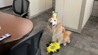 The city of Lone Tree celebrates team member's 6th birthday
