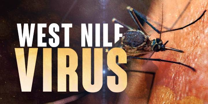 West Nile Virus case in northern Iowa confirmed