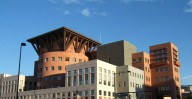 Library Revives One Book One Denver With Stay True